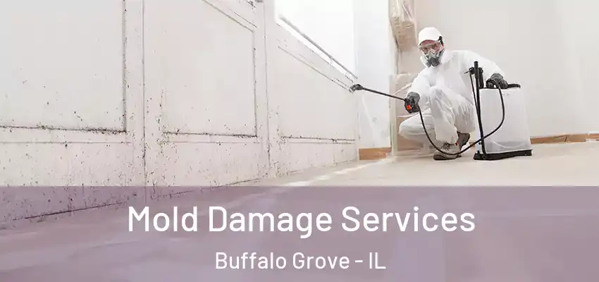  Mold Damage Services Buffalo Grove - IL