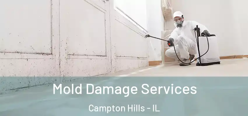  Mold Damage Services Campton Hills - IL