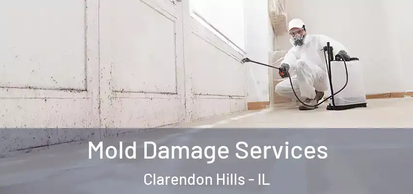  Mold Damage Services Clarendon Hills - IL