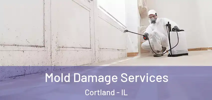 Mold Damage Services Cortland - IL