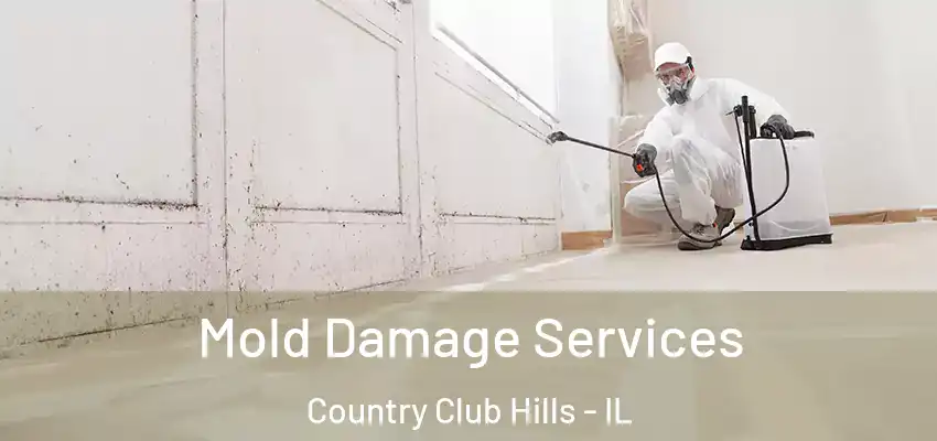 Mold Damage Services Country Club Hills - IL