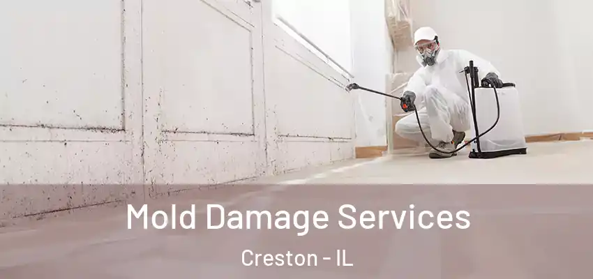  Mold Damage Services Creston - IL