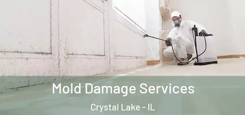  Mold Damage Services Crystal Lake - IL
