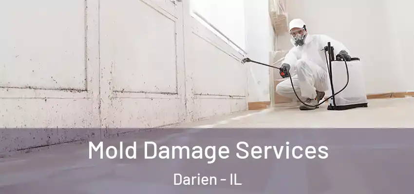  Mold Damage Services Darien - IL