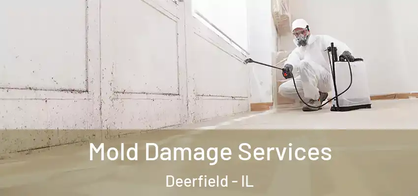  Mold Damage Services Deerfield - IL