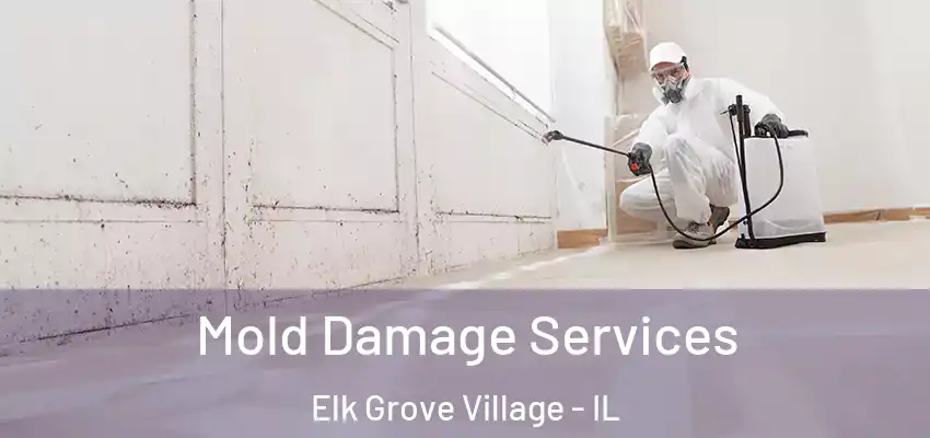  Mold Damage Services Elk Grove Village - IL