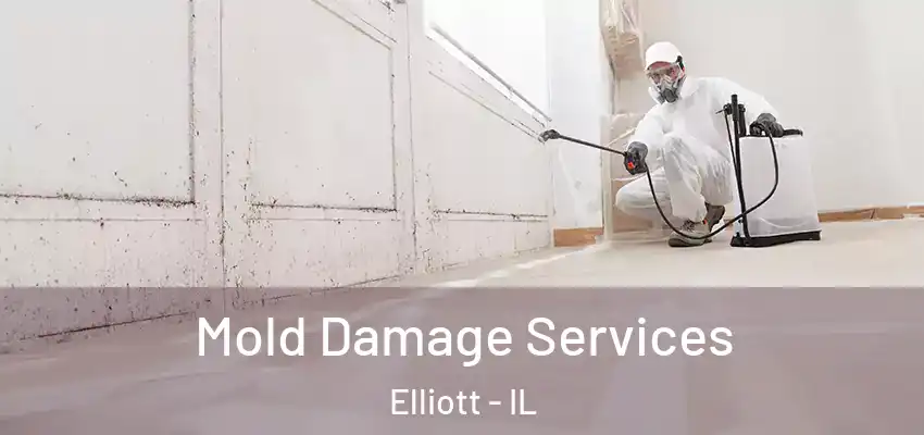  Mold Damage Services Elliott - IL