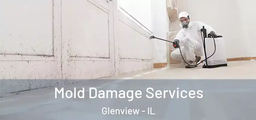  Mold Damage Services Glenview - IL