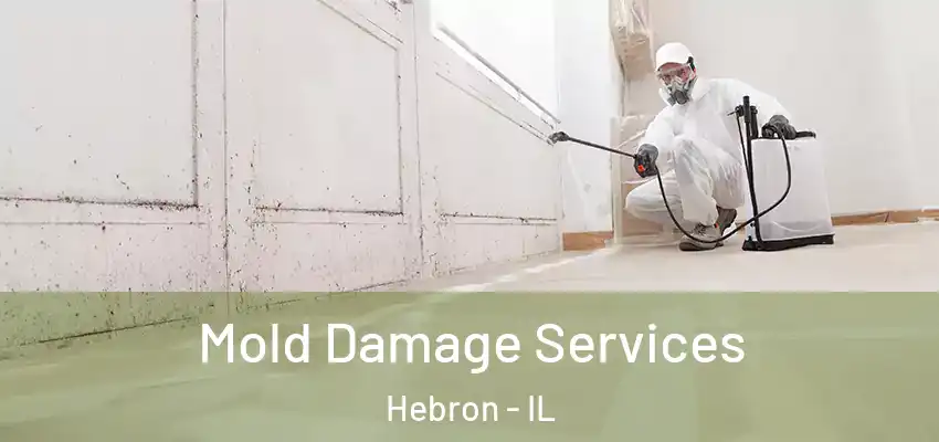 Mold Damage Services Hebron - IL