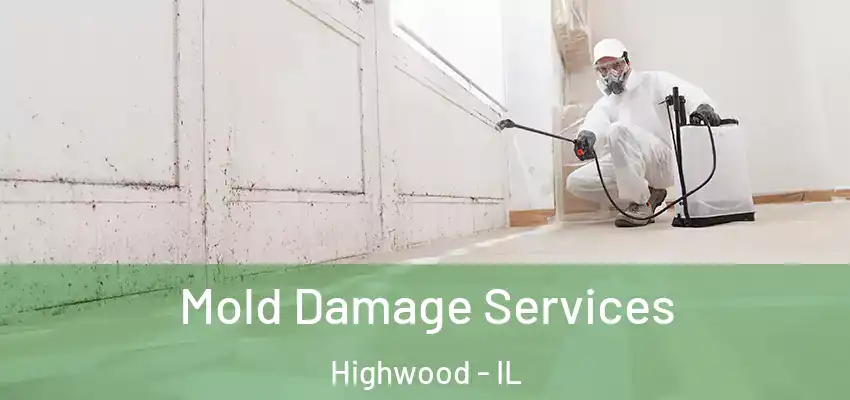 Mold Damage Services Highwood - IL