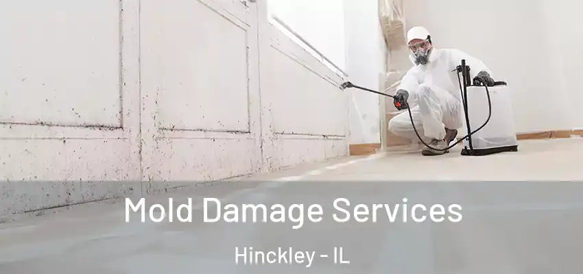  Mold Damage Services Hinckley - IL