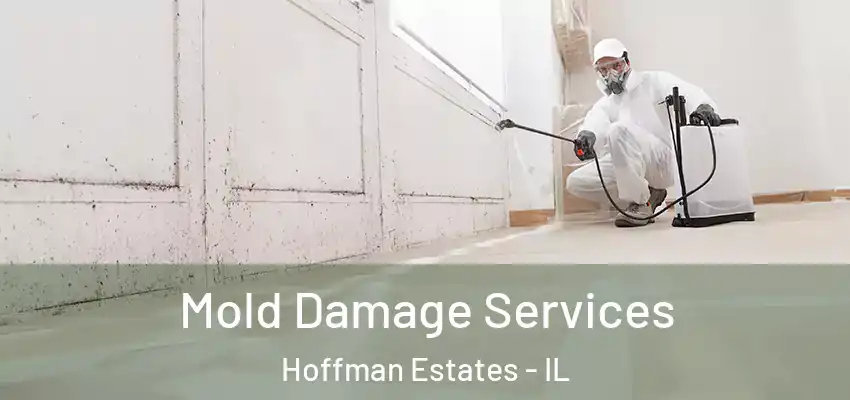  Mold Damage Services Hoffman Estates - IL