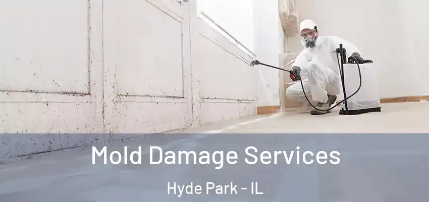  Mold Damage Services Hyde Park - IL