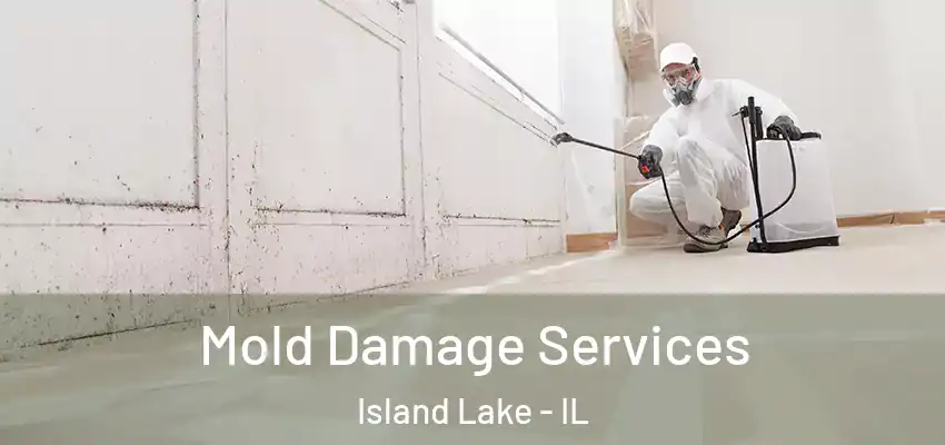  Mold Damage Services Island Lake - IL