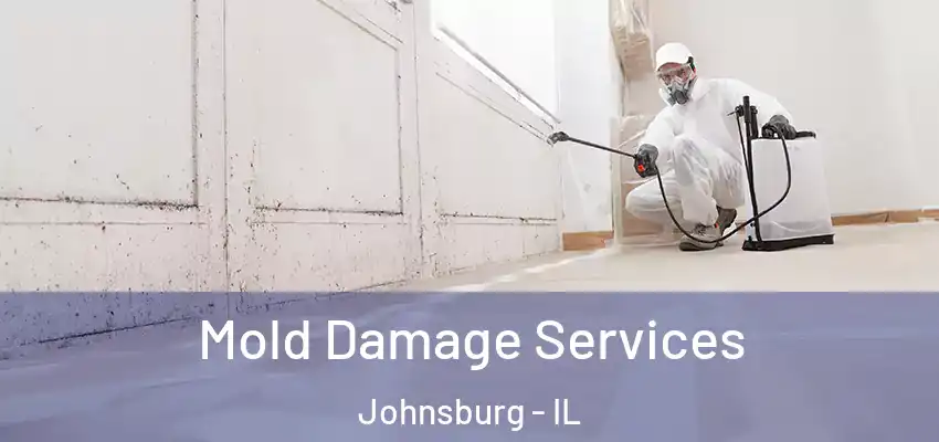  Mold Damage Services Johnsburg - IL