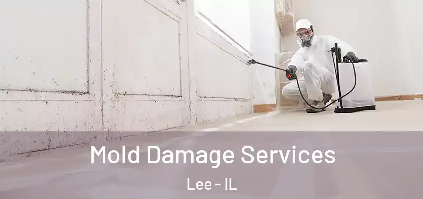  Mold Damage Services Lee - IL