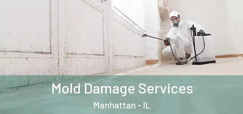  Mold Damage Services Manhattan - IL