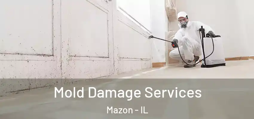  Mold Damage Services Mazon - IL