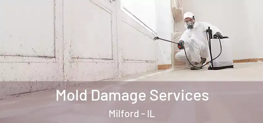  Mold Damage Services Milford - IL