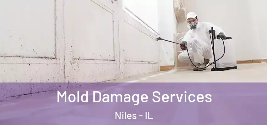  Mold Damage Services Niles - IL