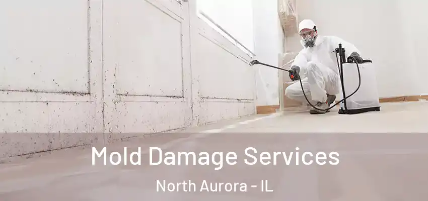  Mold Damage Services North Aurora - IL