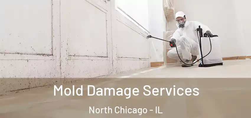  Mold Damage Services North Chicago - IL