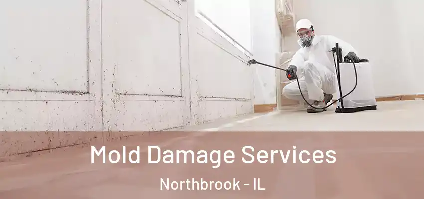 Mold Damage Services Northbrook - IL