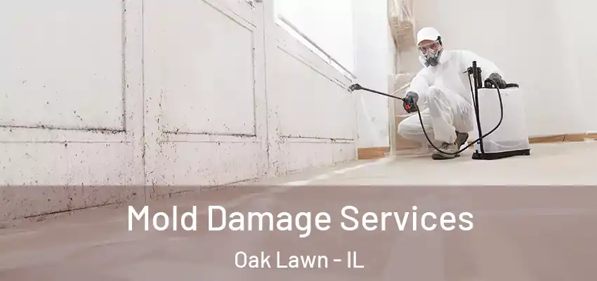  Mold Damage Services Oak Lawn - IL