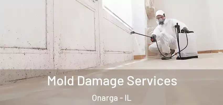  Mold Damage Services Onarga - IL