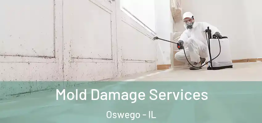  Mold Damage Services Oswego - IL