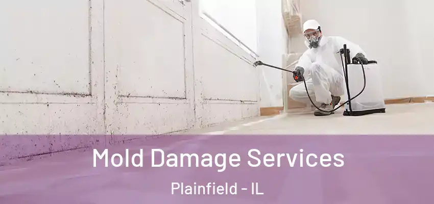  Mold Damage Services Plainfield - IL