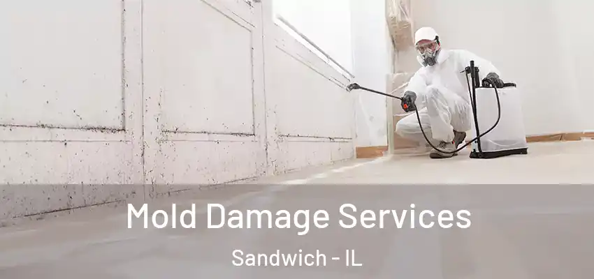  Mold Damage Services Sandwich - IL