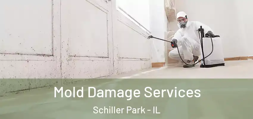  Mold Damage Services Schiller Park - IL