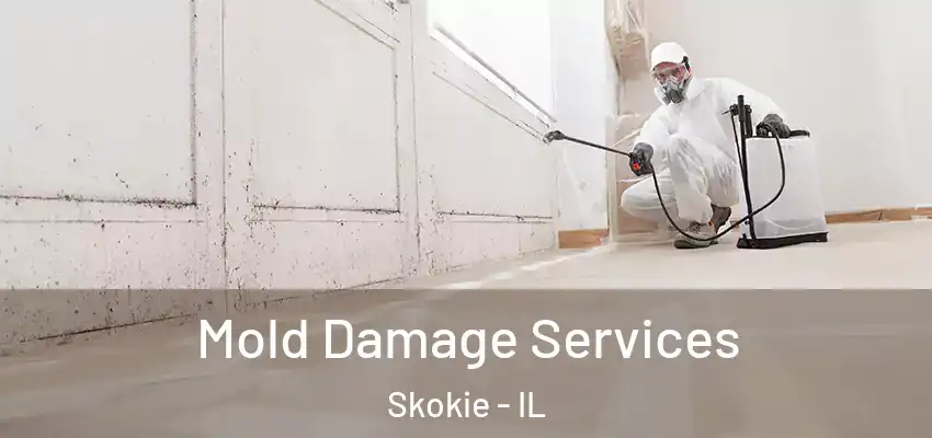  Mold Damage Services Skokie - IL