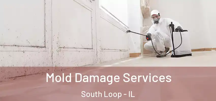  Mold Damage Services South Loop - IL