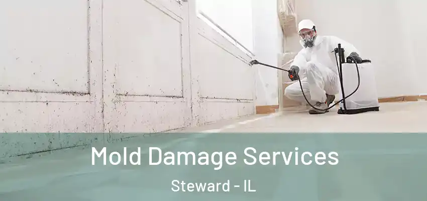  Mold Damage Services Steward - IL