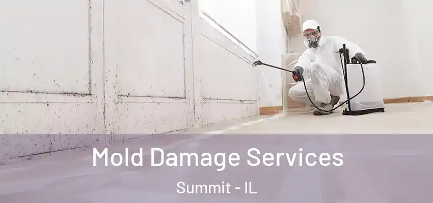  Mold Damage Services Summit - IL