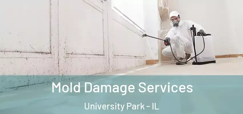  Mold Damage Services University Park - IL
