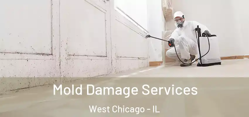  Mold Damage Services West Chicago - IL