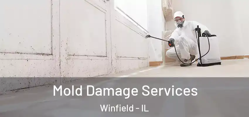  Mold Damage Services Winfield - IL