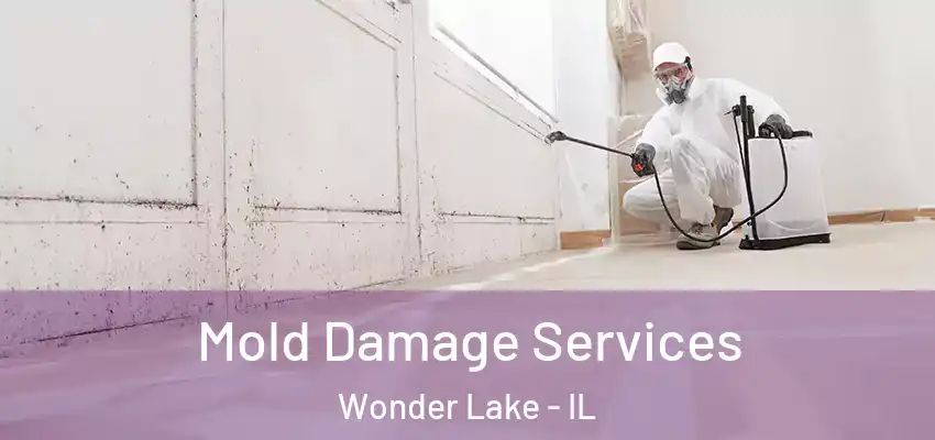  Mold Damage Services Wonder Lake - IL