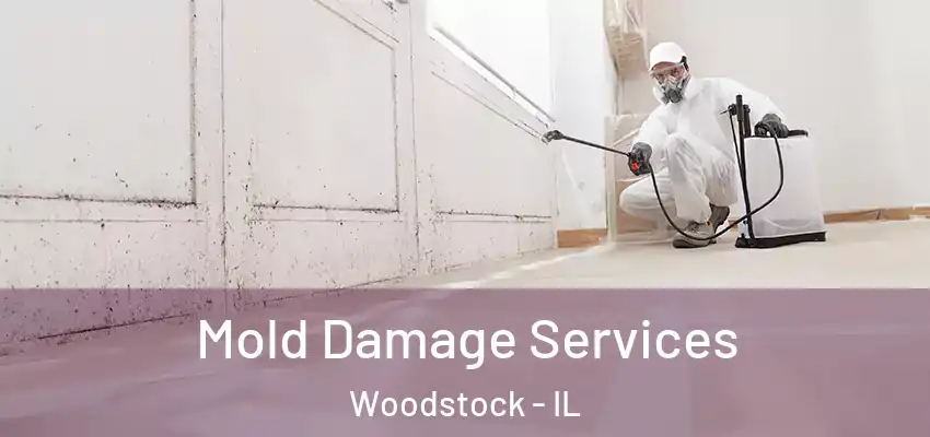  Mold Damage Services Woodstock - IL