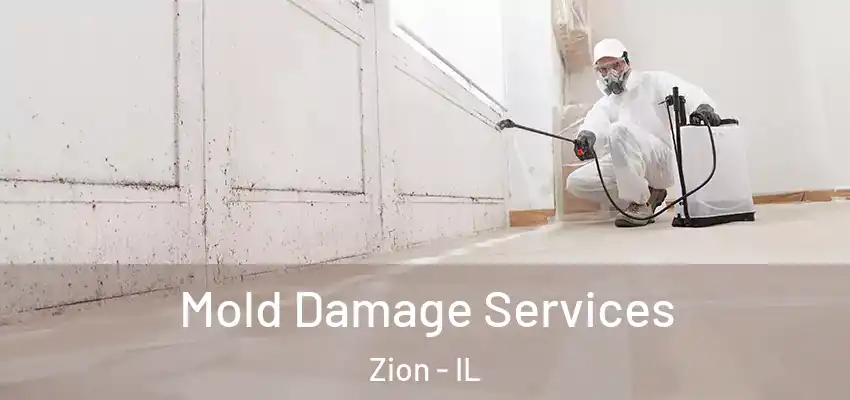  Mold Damage Services Zion - IL
