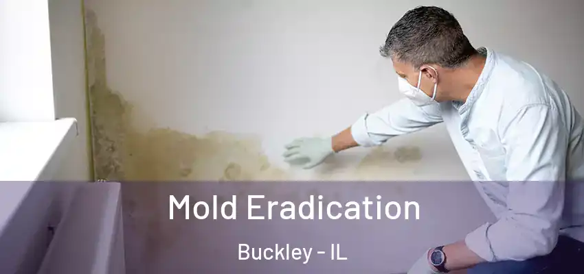  Mold Eradication Buckley - IL