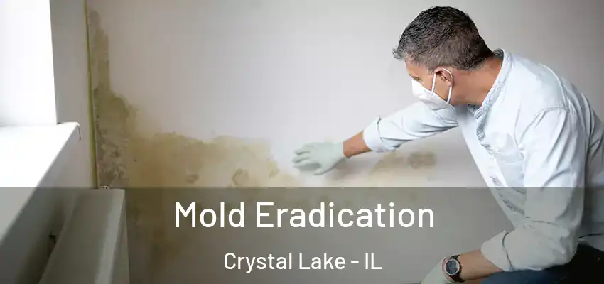  Mold Eradication Crystal Lake - IL