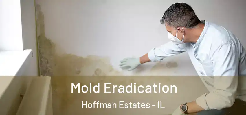  Mold Eradication Hoffman Estates - IL