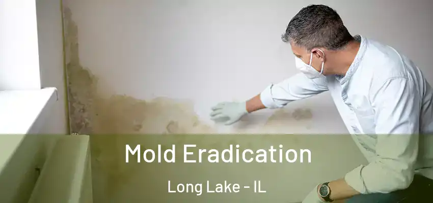  Mold Eradication Long Lake - IL