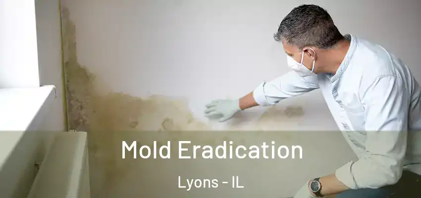  Mold Eradication Lyons - IL