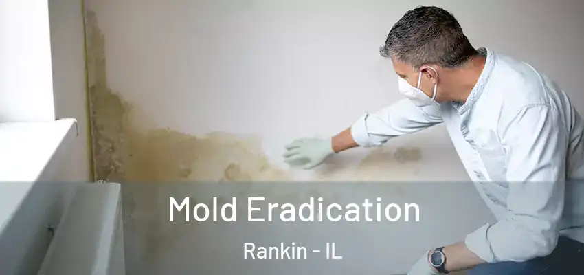  Mold Eradication Rankin - IL