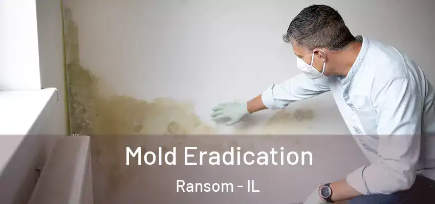  Mold Eradication Ransom - IL